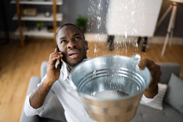 Best Basement water damage restoration  in Farmers Loop, AK