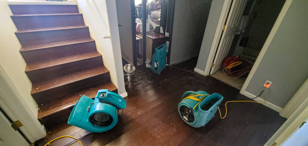 Best Flood damage cleanup  in Farmers Loop, AK