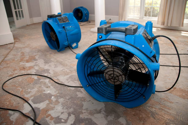Best 24/7 water damage repair  in Farmers Loop, AK