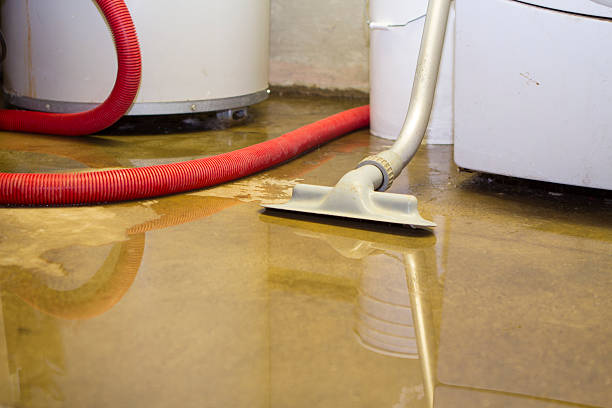 Reliable AK Water damage restoration Solutions