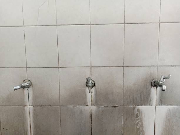 Best Water damage mitigation services  in Farmers Loop, AK