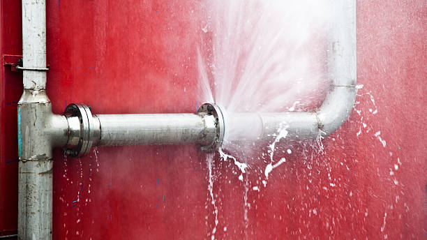 Best Flooded house restoration  in Farmers Loop, AK