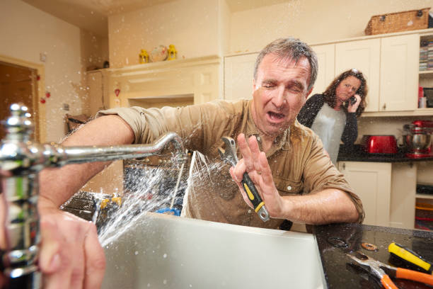Best Fire Damage Restoration  in Farmers Loop, AK